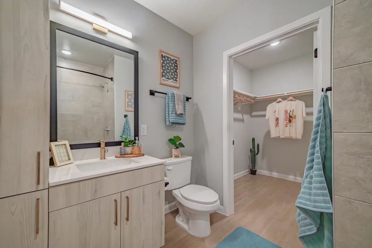 Modern bathroom with light wood cabinets, a large mirror, and sleek fixtures. An adjacent walk-in closet features hanging clothes and a cactus plant.